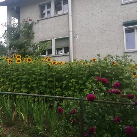 Billenberghof Apartment *