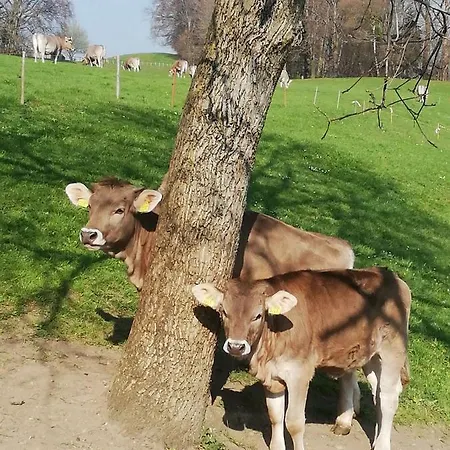 Billenberghof Gospodarstwo agroturystyczne *